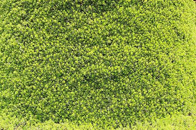 武侠游戏《逸剑风云决》10月更新上线，DLC正在规划中！