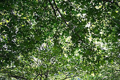 《超级马里奥：惊奇》已登顶日亚游戏销量榜 超越《皮克敏4》